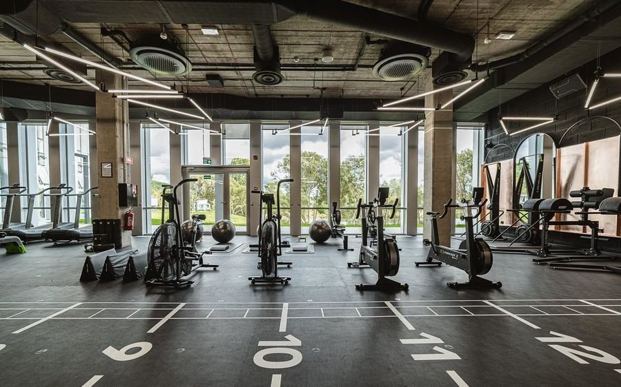 PAVIGYM