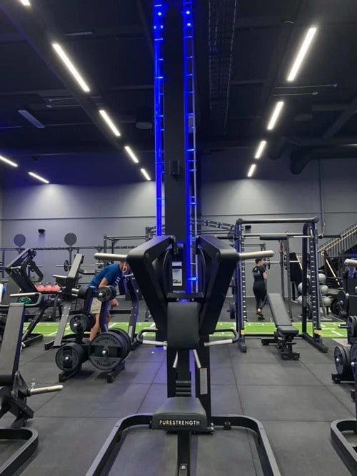 Pavibasic Cardio
