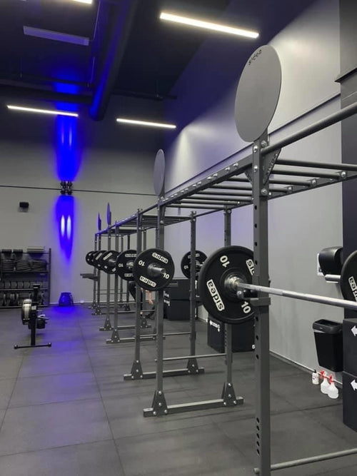 Pavibasic Cardio