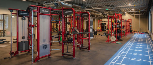 Pavibasic CT / Cross Training