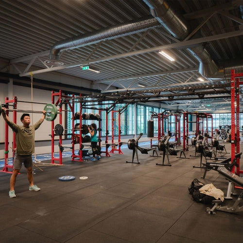 Pavibasic CT / Cross Training