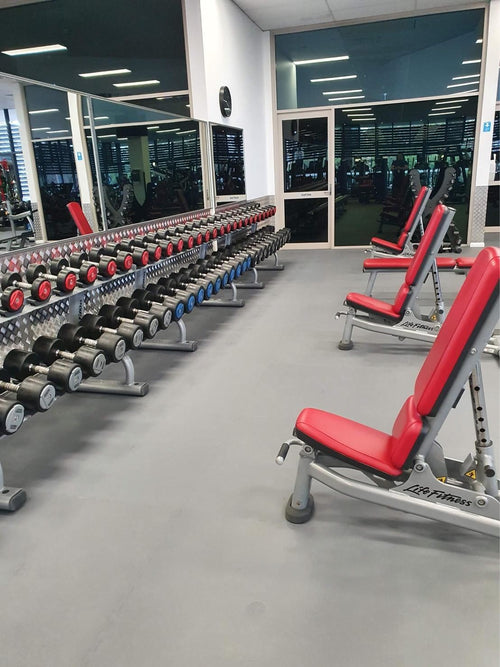 Pavigym Endurance S&S