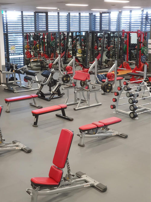 Pavigym Endurance S&S