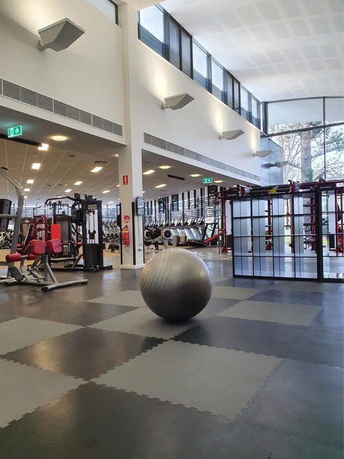 Pavigym Endurance S&S