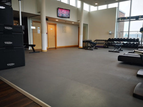 Pavigym Endurance S&S