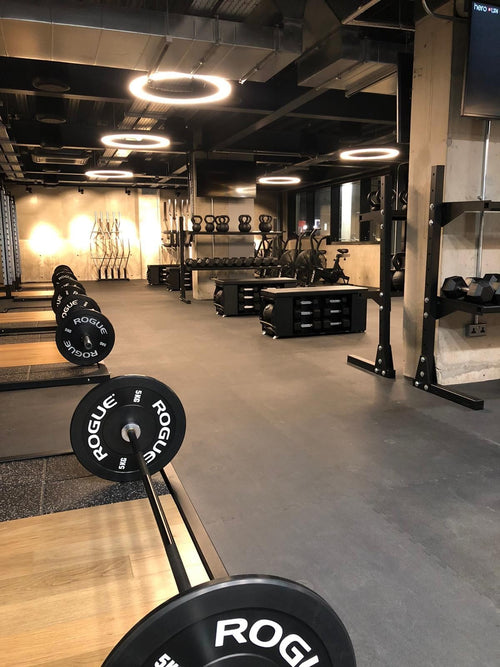 Pavigym Endurance S&S