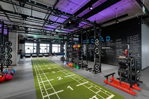 Pavigym Endurance