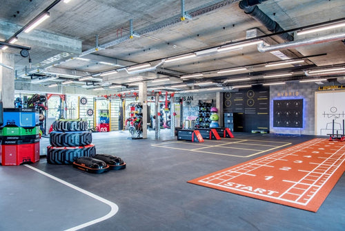 Pavigym Endurance