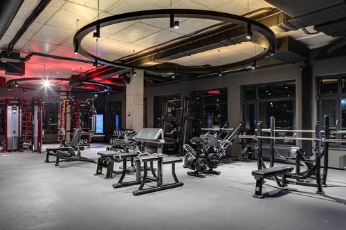 Pavigym Endurance
