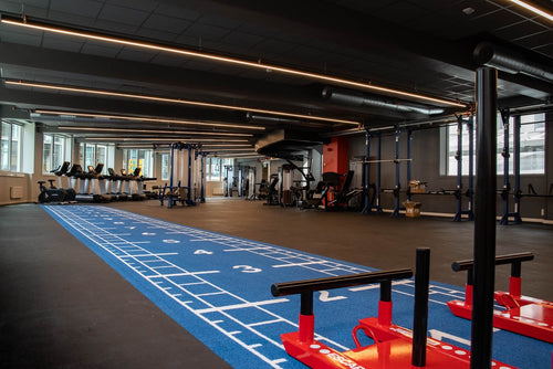 Pavigym Endurance