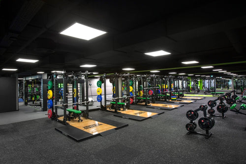 Pavigym Extreme