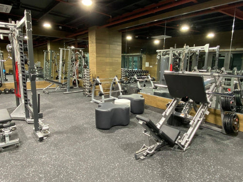 Pavigym Extreme