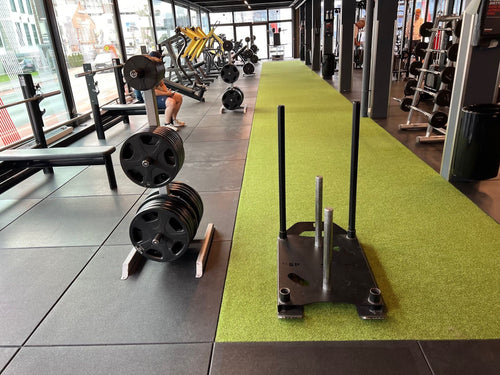 Pavigym Solid Pro