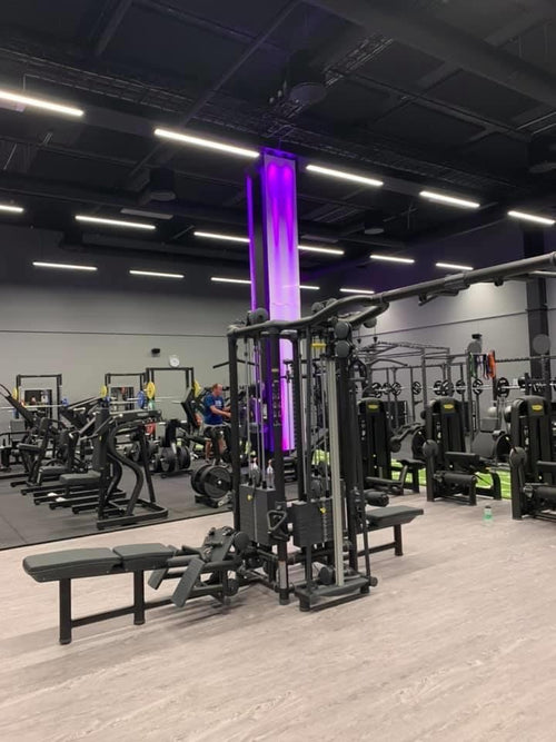 Pavigym Traffic