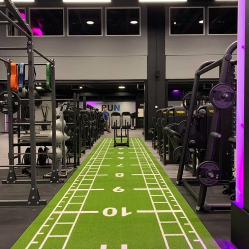 Pavigym Turf