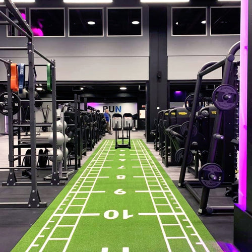 Pavigym Turf