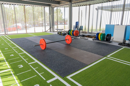 Pavigym Weightlifting