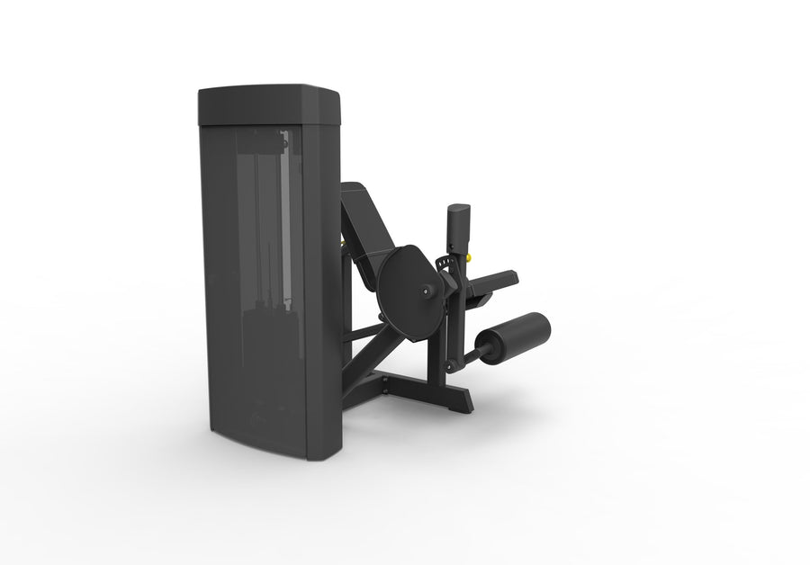 Spirit SP-4305 · Leg Extension