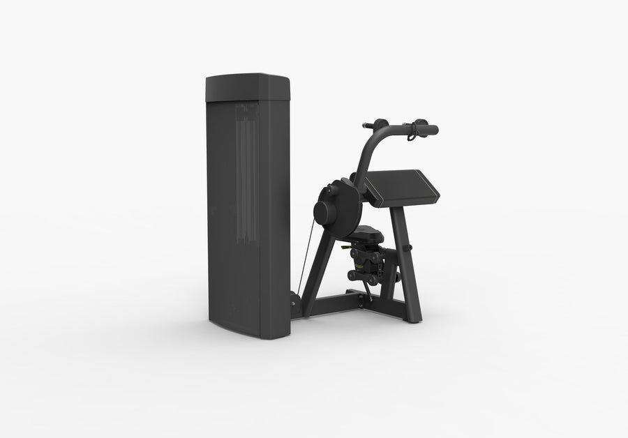 Spirit SP-4308 · Tricep Extension