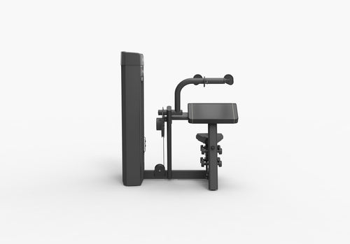 Spirit SP-4308 · Extensión de tríceps – foto 4