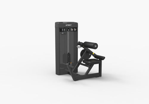 Spirit SP-4310 · Extensión lumbar – foto 5