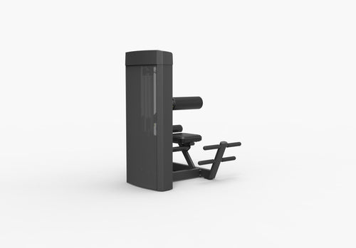 Spirit SP-4310 · Extensión lumbar – foto 6