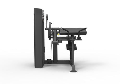 Spirit SP-4607 · Curl de bíceps / extensión de tríceps – foto 3