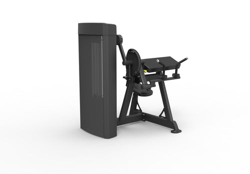 Spirit SP-4607 · Curl de bíceps / extensión de tríceps – foto 4
