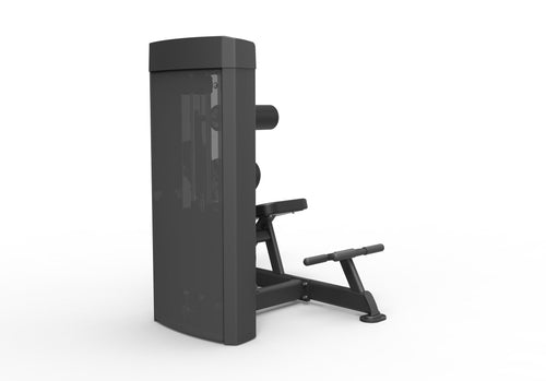 Spirit SP-4609 · Abdominales / extensión lumbar – foto 4